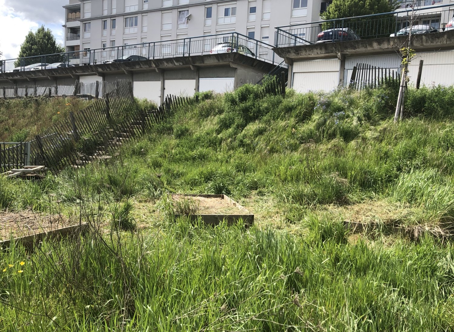 zone d'essai permaculture